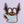 Load image into Gallery viewer, Cute 'Bat In A Tea Cup' Embroidered Velcro Patch