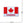 Load image into Gallery viewer, Canada Flag &#39;Canada Font&#39; Embroidered Velcro Patch
