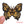 Load image into Gallery viewer, Butterfly &#39;Tiger Face&#39; Embroidered Patch
