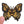 Load image into Gallery viewer, Butterfly &#39;Tiger Face&#39; Embroidered Patch
