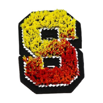 Tricolor 'Letter S' Embroidered Patch