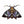 Load image into Gallery viewer, Insect &#39;Death&#39;s-Head Hawkmoth&#39; Embroidered Patch
