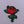 Load image into Gallery viewer, Cute &#39;Rose&#39; Embroidered Patch
