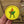 Load image into Gallery viewer, Boy Scout Badge &#39;Campfire&#39; Embroidered Velcro Patch
